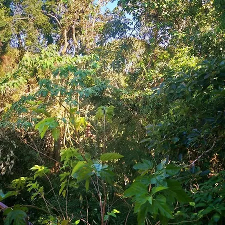 Pousada Do Sossego Conceição da Ibitipoca Quarto foto